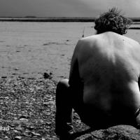 Land - Richard Lakatos