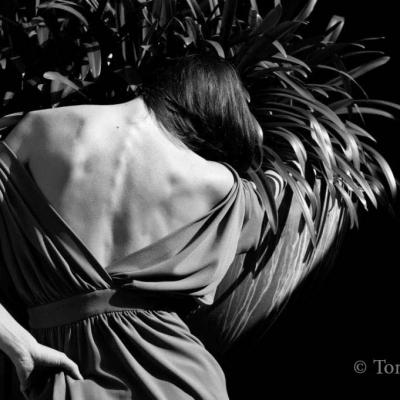 Sion - Aurélia Bellet